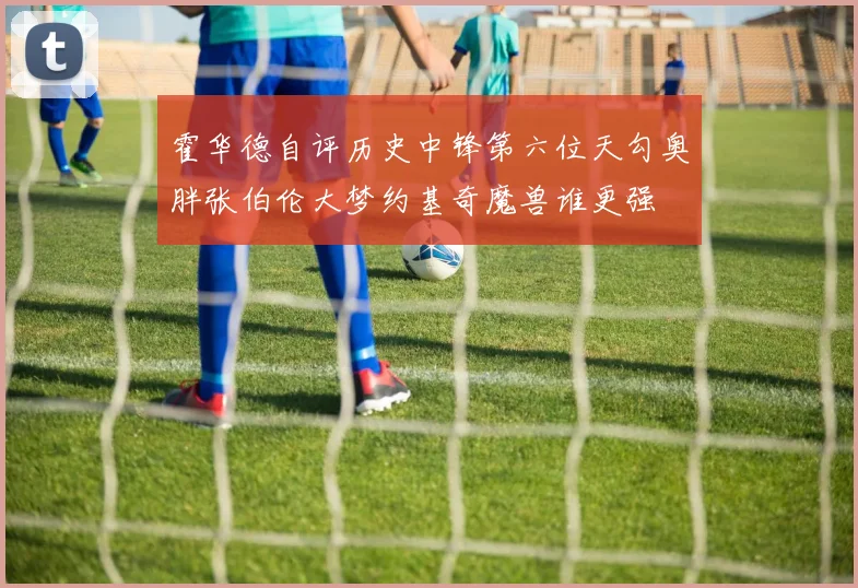 霍华德自评历史中锋第六位天勾奥胖张伯伦大梦约基奇魔兽谁更强