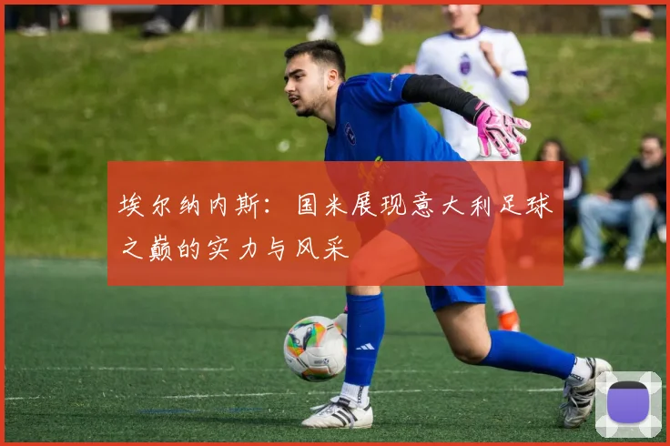 埃尔纳内斯：国米展现意大利足球之巅的实力与风采
