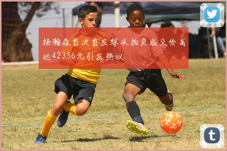 杨瀚森首次首发球衣拍卖成交价高达42356元引发热议