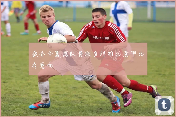 桑乔今夏离队曼联多特维拉意甲均有意向