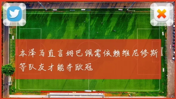 本泽马直言姆巴佩需依赖维尼修斯等队友才能夺欧冠