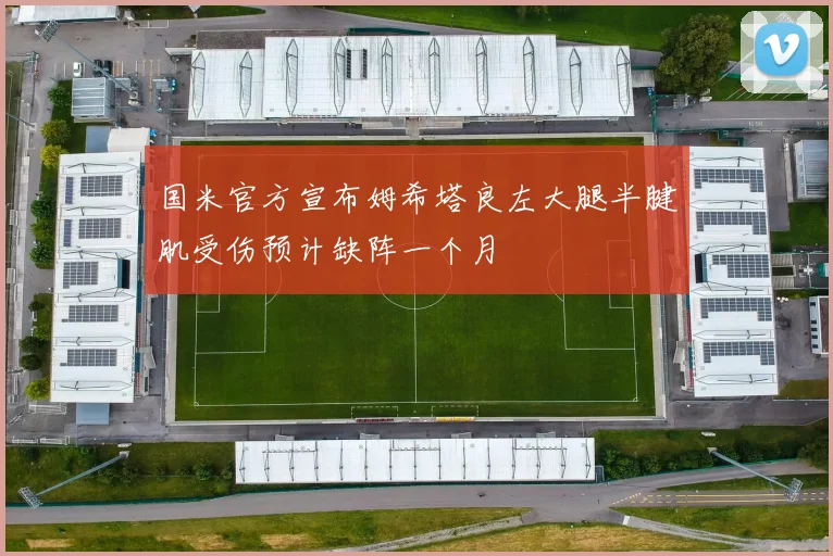 国米官方宣布姆希塔良左大腿半腱肌受伤预计缺阵一个月